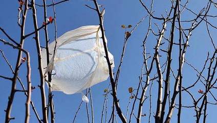 限塑十年再出發 以創新技術與方法應對新挑戰